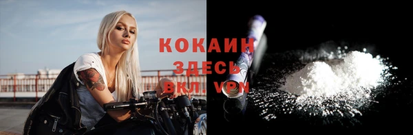 шишки Нефтекумск